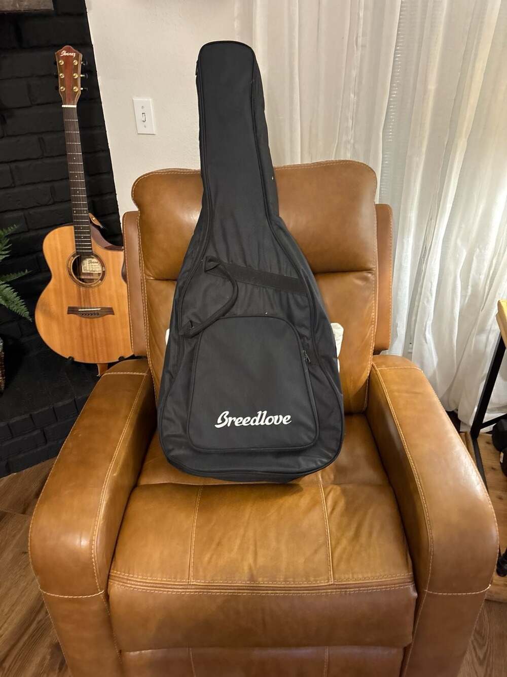 Breedlove Acoustic Guitar Gig Bag with Martin Strings, Capo, and Maintenance Too